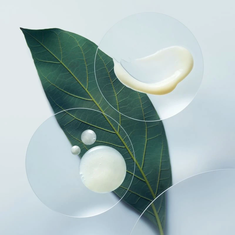 Aveda Botanical Repair™ Strengthening Shampoo 4 Aveda Botanical Repair™ Strengthening Shampoo – Image 4