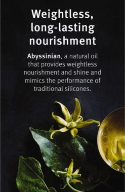 Aveda Shampure™ Nurturing Shampoo 6 Aveda Shampure™ Nurturing Shampoo -Bumble and Bumble Shop aveda shampure nurturing shampoo shampoing apaisant pour tous types de cheveux 2