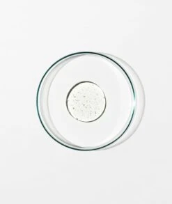 Grown Alchemist Anti-Frizz Shampoo 0.5 -Bumble and Bumble Shop grown alchemist anti frizz shampoo 0 5 shampoing pour cheveux indisciplines et frisottis 2